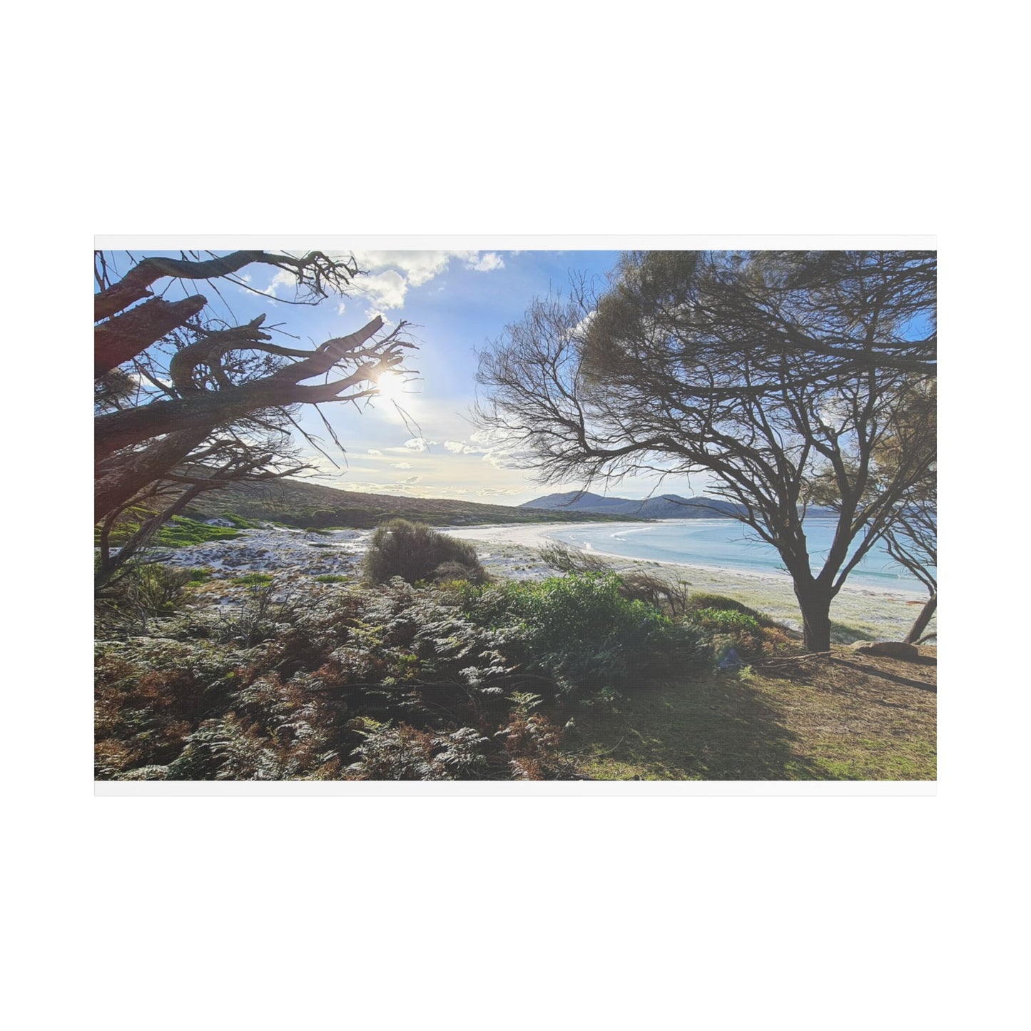 Serene Beach Scene - Tasmania, Australia